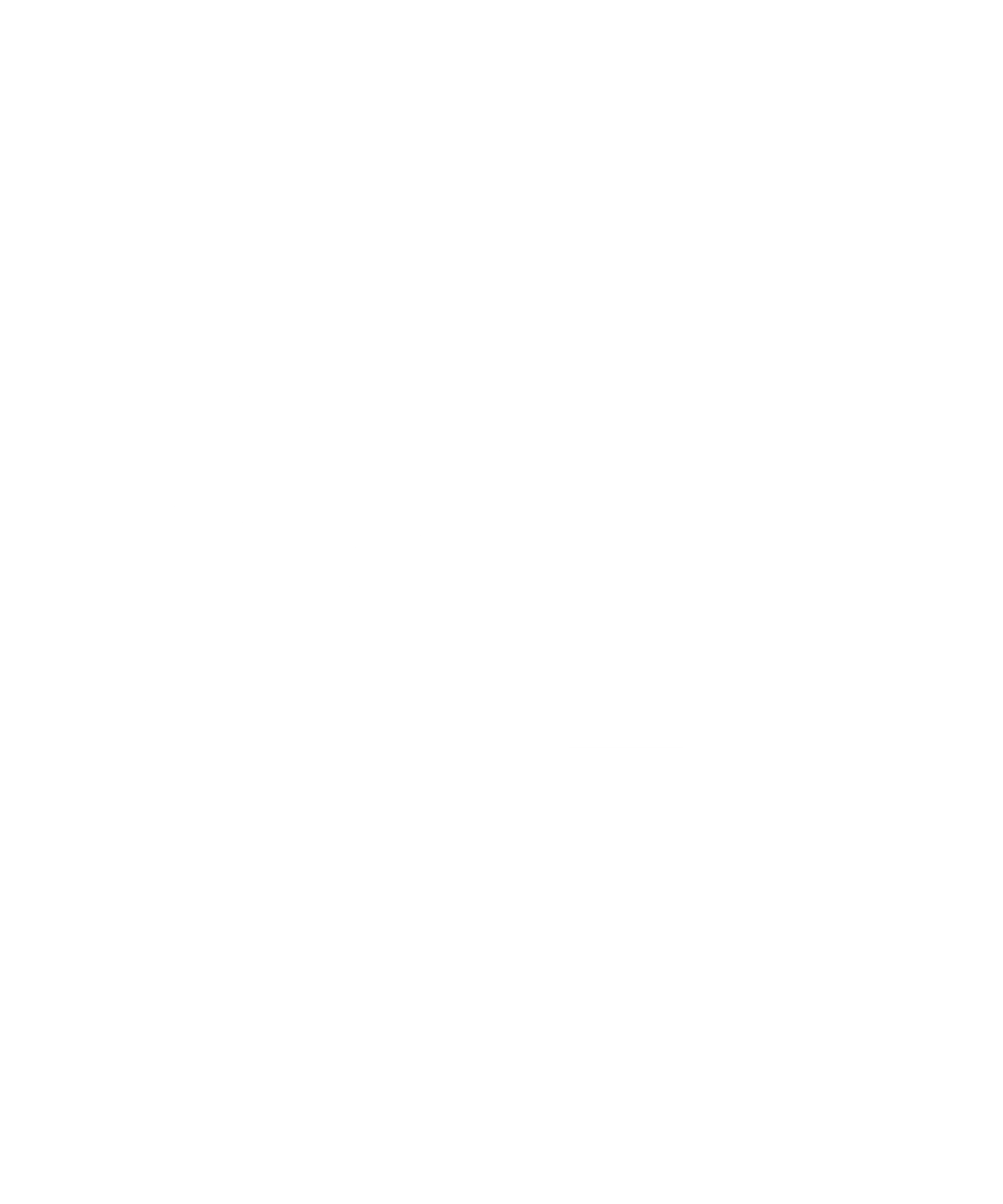 GO2X Lacrosse